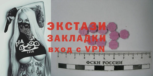 молекула духа Арсеньев