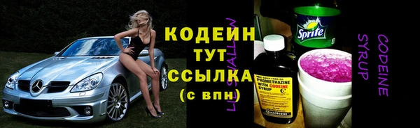 молекула духа Арсеньев