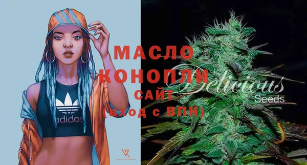 молекула духа Арсеньев