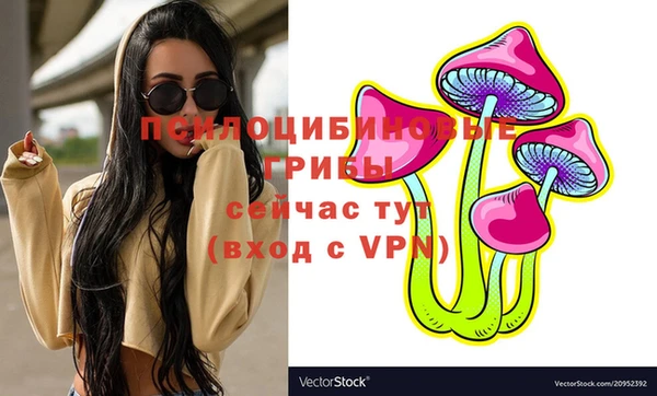 молекула духа Арсеньев