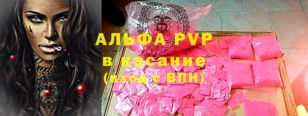 молекула духа Арсеньев