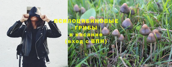 бошки Армянск