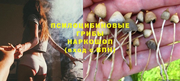 молекула духа Арсеньев