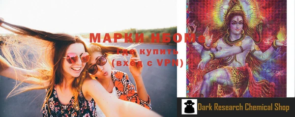 молекула духа Арсеньев